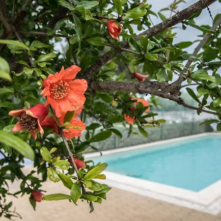 Lara Polignano a Mare